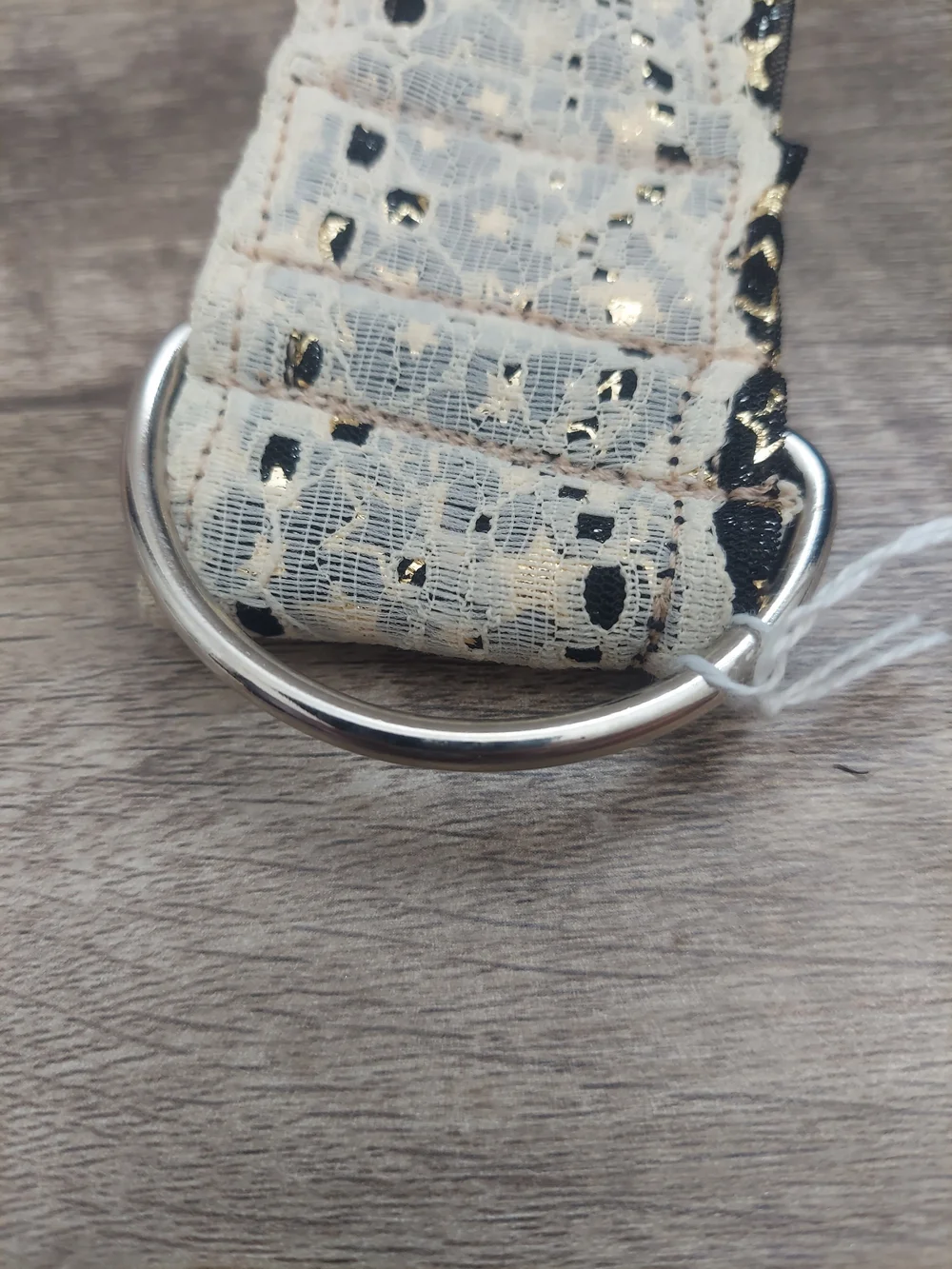 Custom Martingale Dog Collar 2